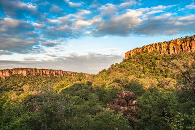 Zwischen roten Felsklippen und dichter Vegetation zeigt das Waterberg Plateau eine überraschend grüne Seite Namibias
