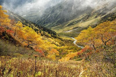 Goldgelbe Wälder, klare Bergluft und farbenprächtige Täler machen den Herbst zu einer der schönsten Reisezeiten für die Japanischen Alpen