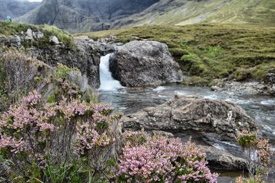 Blühende Heideflächen, glasklare Bergbäche und ursprüngliche Landschaften machen den West Highland Way zu einem einzigartigen Naturerlebnis