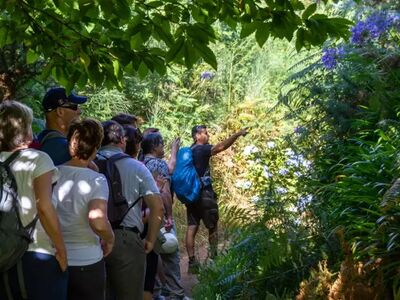 Ortskundige Guides führen Sie zu den schönsten Wanderwegen Madeiras und vermitteln spannende Einblicke in Natur, Kultur und Pflanzenwelt