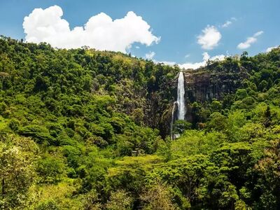 Unsere Wanderreisen im Hochland Sri Lankas führen zu den schönsten Wanderwegen, Wasserfällen, Teeplantagen und Nationalparks der Insel