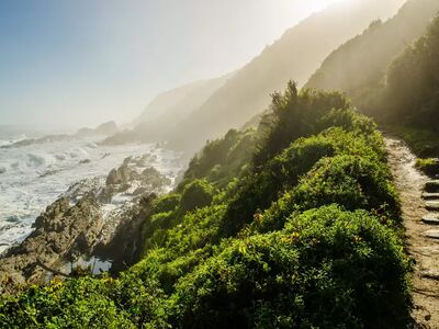 Auf schmalen Pfaden entlang der Garden Route erleben Sie Südafrikas Küste besonders intensiv
