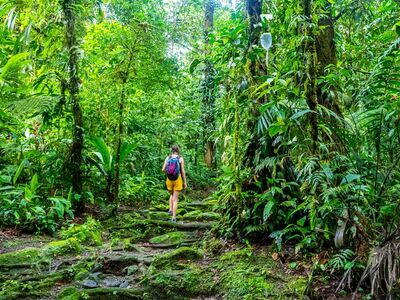 Viele Wanderwege in Costa Rica sind gut ausgeschildert und können auf eigene Faust erkundet werden – einige Nationalparks dürfen jedoch nur mit einem zertifizierten Guide betreten werden