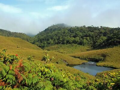 Der Horton Plains National Park begeistert mit weiten Hochlandlandschaften, Nebelwäldern und der berühmten Wanderung zum Aussichtspunkt World's End