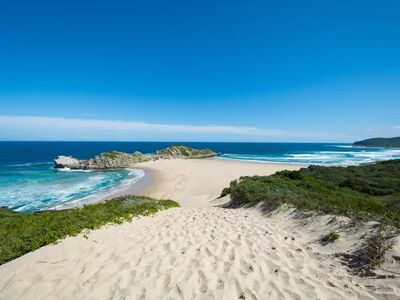 Die Garden Route begeistert mit traumhaften Stränden, spektakulären Küsten und unberührter Natur.