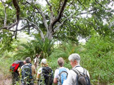 Geführte Wanderungen ermöglichen authentische Einblicke in Natur und Landschaft Südafrikas