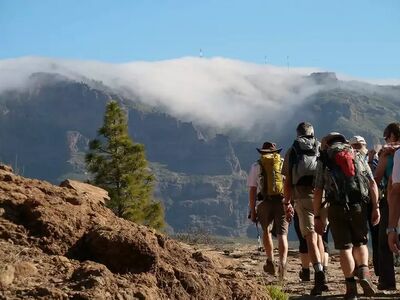Über Jahrhunderte verbanden die Caminos Reales Dörfer und Täler – heute führen die alten Königswege durch Gran Canarias eindrucksvolle Bergwelt