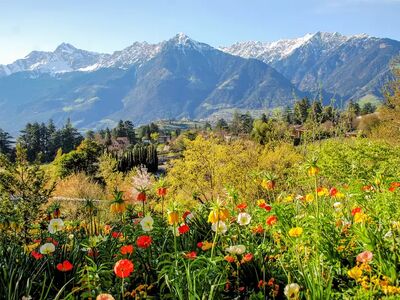 Eine Alpenüberquerung darf an die eigenen Grenzen führen – aber nicht dauerhaft darüber hinaus. Die passende Tour macht aus Anstrengung ein echtes Bergerlebnis.