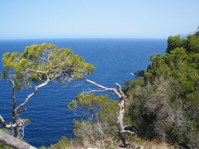 Küstenwanderung zwischen Deià und Sóller mit traumhaften Ausblicken auf das Mittelmeer