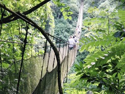 Spektakuläre Hängebrücken gehören in vielen Nationalparks zu den schönsten Erlebnissen beim Wandern in Costa Rica