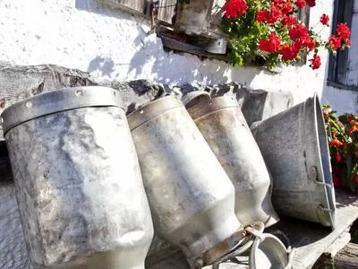 Welche Alpenüberquerung passt zu Ihnen? Wir beraten Sie gerne persönlich und finden gemeinsam die richtige Tour