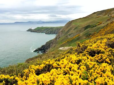 Der Wicklow Way verbindet beeindruckende Landschaften mit der besonderen Ruhe Irlands – ein Wandererlebnis, das lange in Erinnerung bleibt