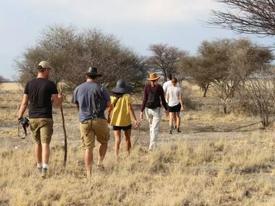 Ob Dünenwanderung, Canyon-Trekking oder Touren durch die Granitlandschaften der Spitzkoppe – in Namibia findet jeder seine passende Wanderung