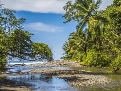 Mit erfahrenen Guides entdecken Sie versteckte Naturparadiese und die schönsten Wanderwege Costa Ricas abseits der bekannten Routen