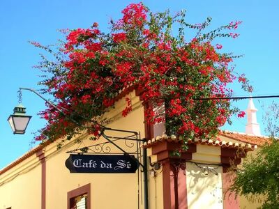 Mildes Klima und viele Sonnentage machen die Algarve besonders im Frühjahr und Herbst ideal zum Wandern, dann blüht auch die Bougainvillea am schönsten