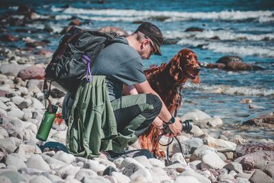 Mehr Zeit für Ihren Hund: Individuelle Wanderreisen ermöglichen Pausen genau dann, wenn Ihr vierbeiniger Begleiter sie braucht