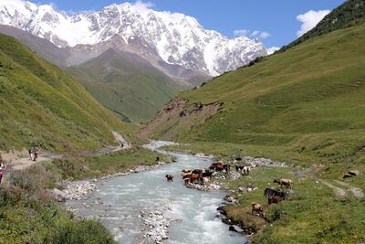 Abgelegene Hochtäler, wilde Flüsse und schneebedeckte Gipfel machen Tuschetien und Chewsuretien zu den ursprünglichsten Trekkingregionen Georgiens