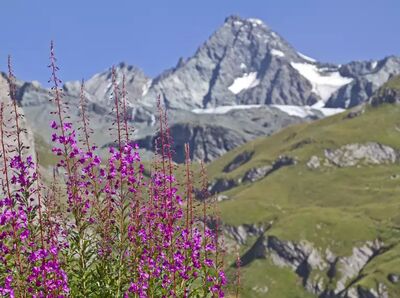 Genießen Sie die Schönheit der Alpen unbeschwert – Ihr Gepäck wartet bereits im nächsten Hotel auf Sie