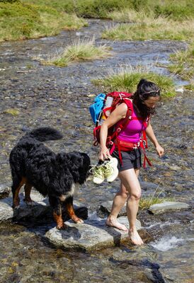 Bäche sind ideale Plätze für eine kurze Abkühlung – achten Sie dabei stets auf die Natur und andere Wanderer