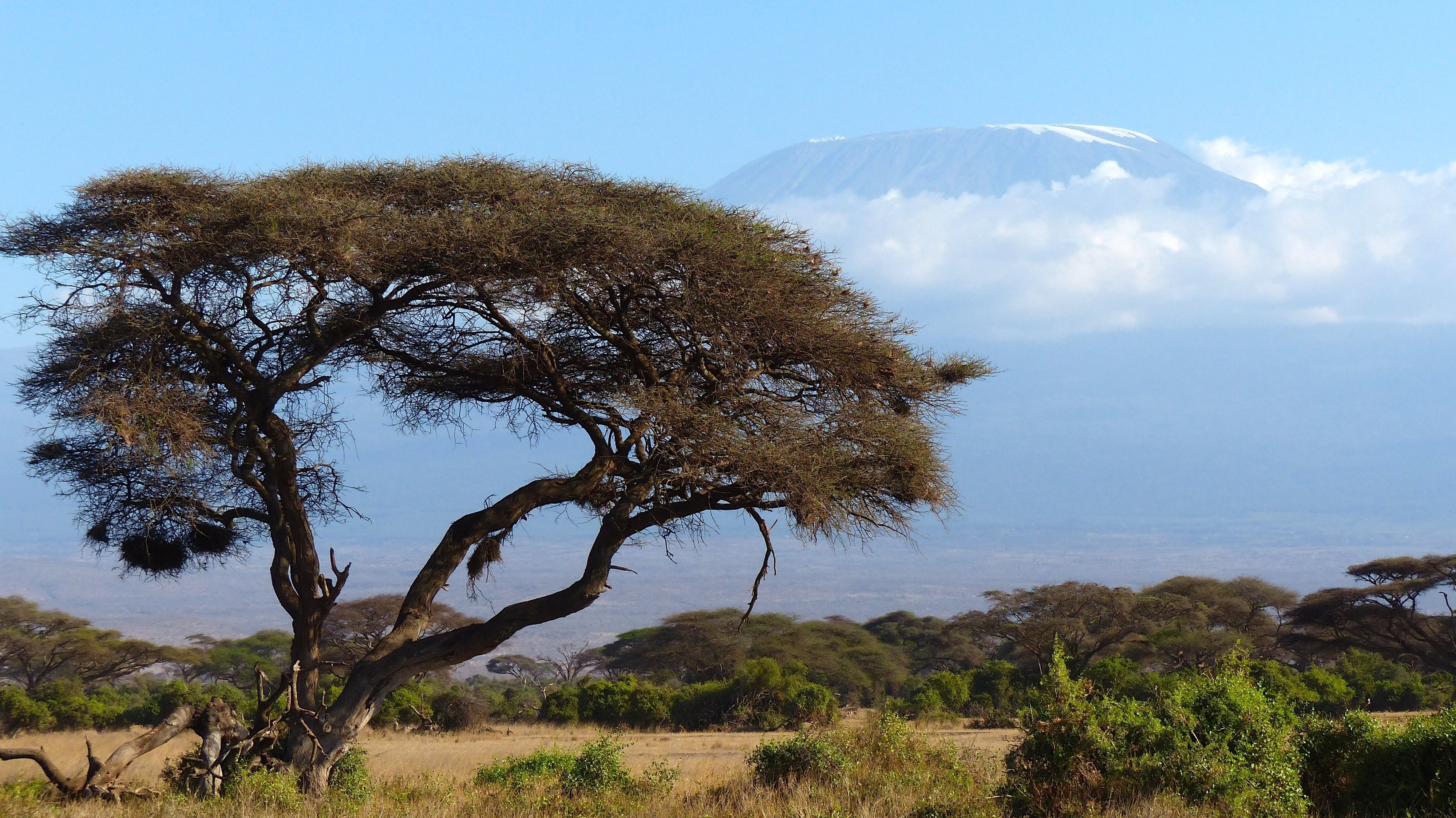 Die Kilimandscharo Routen verlaufen durch vielfältige Landschaften und bieten unterschiedliche Wege zum Uhuru Peak