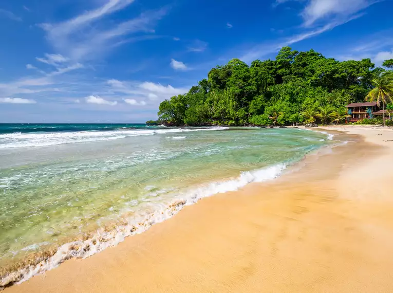 Karibikstrand im Cahuita Nationalpark – tropischer Regenwald trifft auf türkisblaues Meer