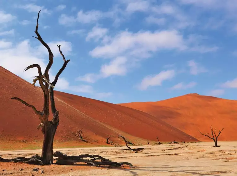 Eines der Wahrzeichen Namibias: Das Farbspiel der unterschiedlichen Wüstenregionen