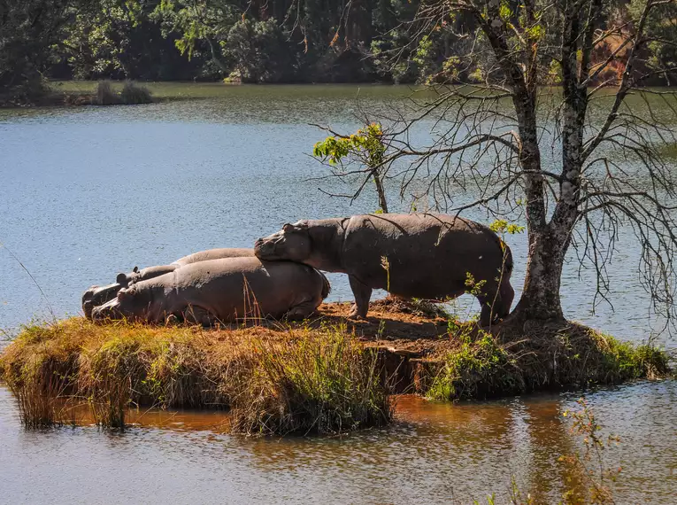 Praktisch so eine "Ablage"