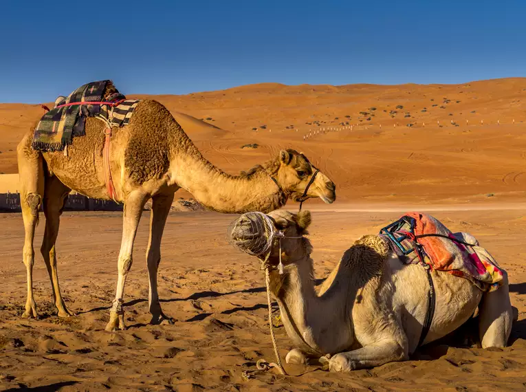 Oman - Alpenstieg