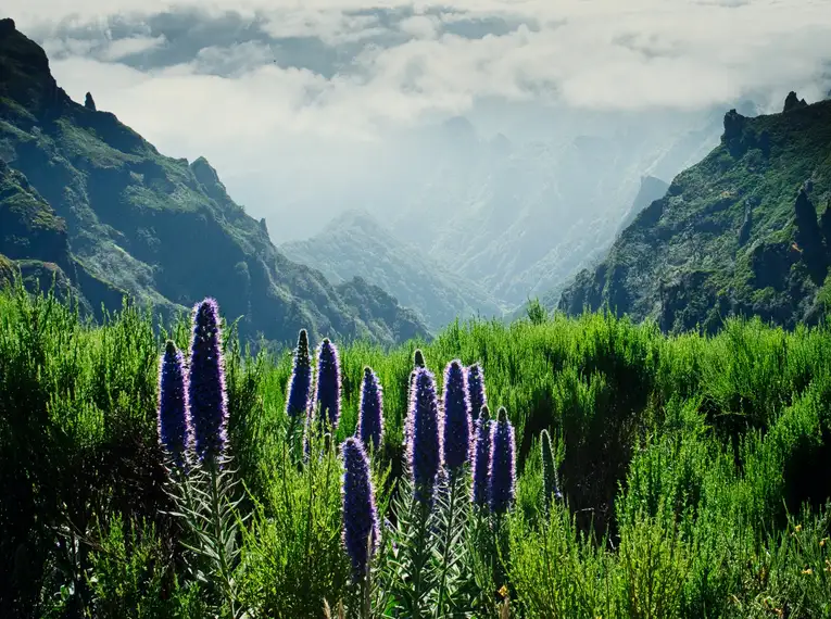 Madeira gemütlich erwandern