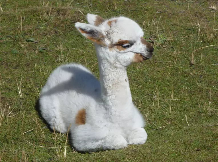 Ecuador auf verborgenen Wegen entdecken