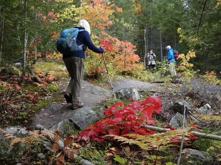Indian Summer in Kanada: Farbrausch und Naturgenuss 