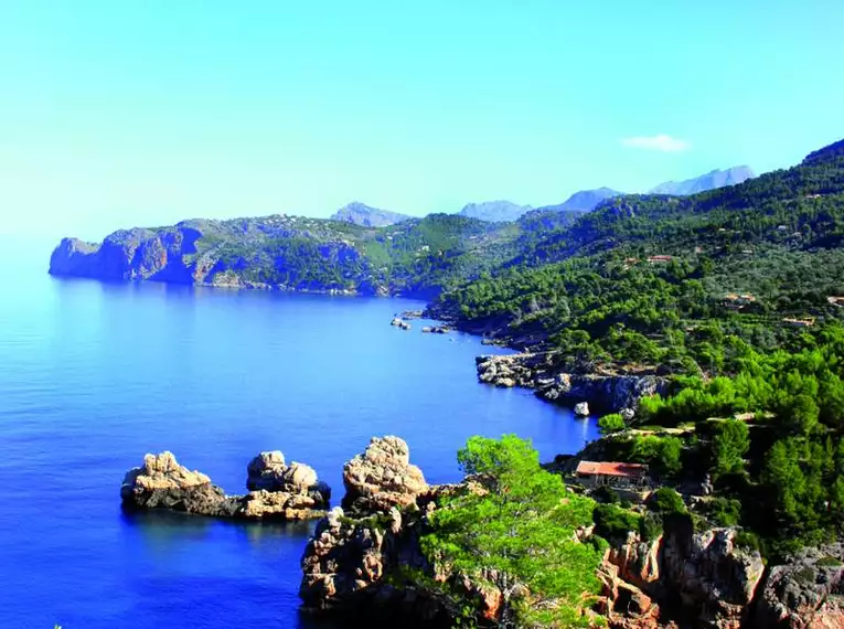 Silvester in Palma de Mallorca