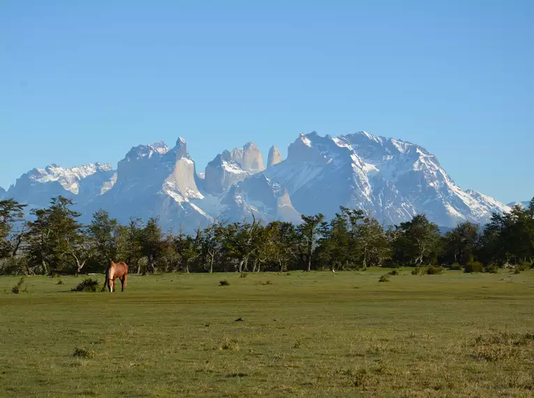 Patagonische Landschaft mit Bergpanorama und Weidepferd.