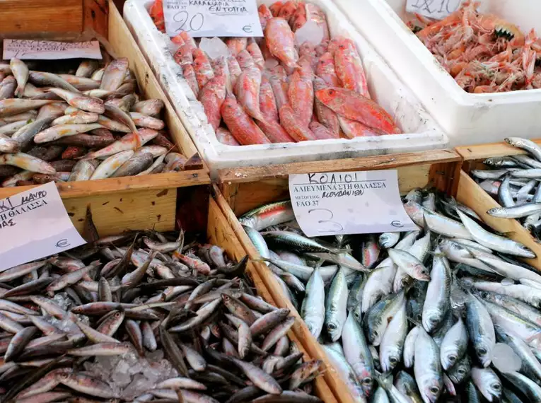 Leckerer Fischmarkt auf Zakynthos Verschiedene Fische und Meeresfrüchte auf einem Marktstand in Zakynthos.