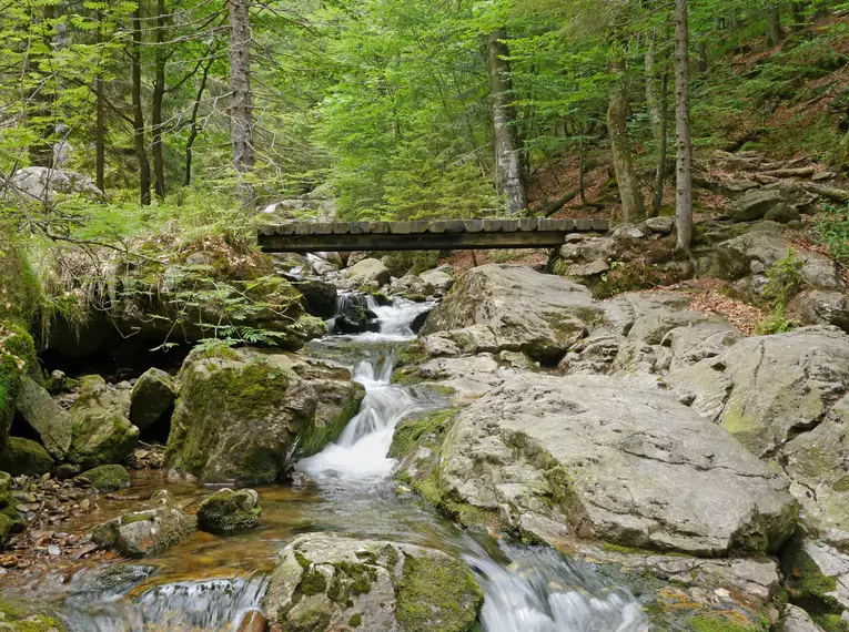 Die Highlights im Nationalpark Bayerischer Wald erwandern