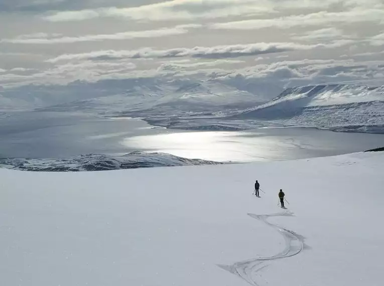 Skitourenwoche Island
