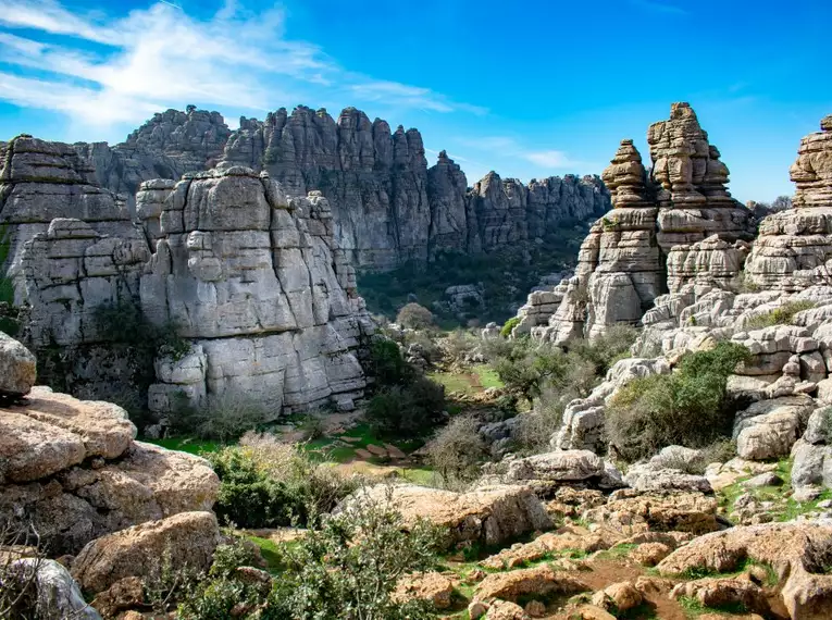 Andalusien entdecken: Eine Reise durch Natur, Geschichte und Kultur