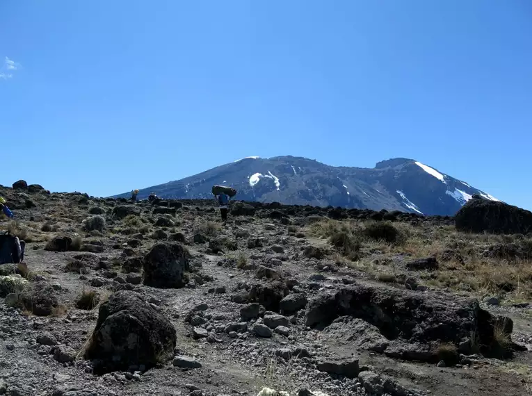 Kilimanjaro: Machame-Route (Southern Cicuit)