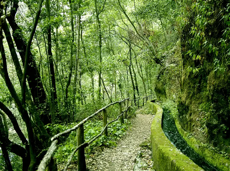Silvester auf La Palma
