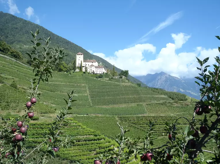 Individuelle Wanderung entlang des Wein- und Almenwegs in Südtirol
