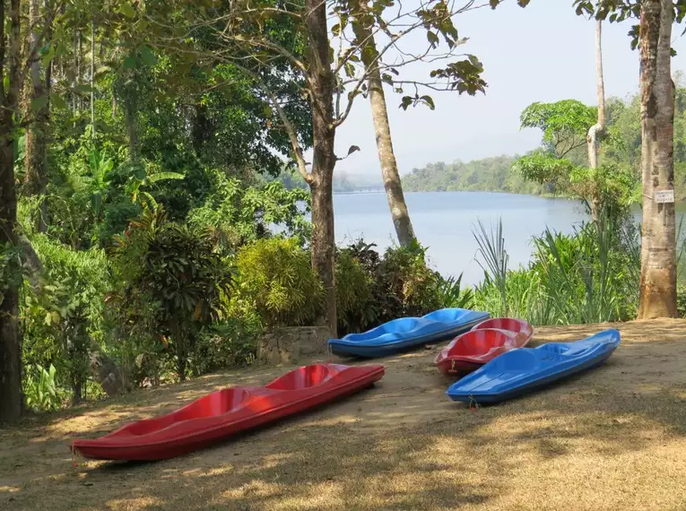 Indiens Süden: Keralas Naturschönheiten entdecken