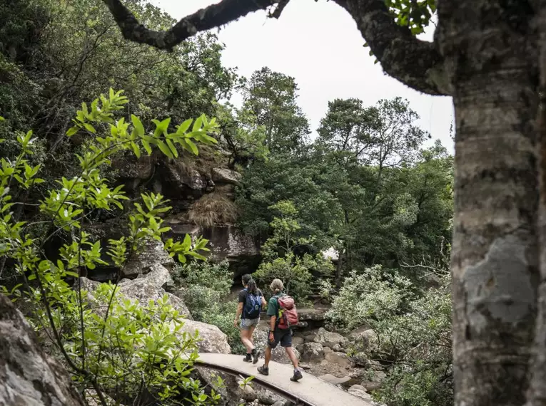 Wandertour im südafrikanischen Busch Zwei Wanderer auf einem Weg im grünen, bergigen Terrain Südafrikas.