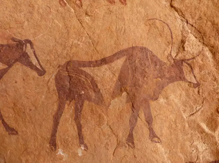 Algerien - Eine Reise durch die Wüstenwunder der Sahara