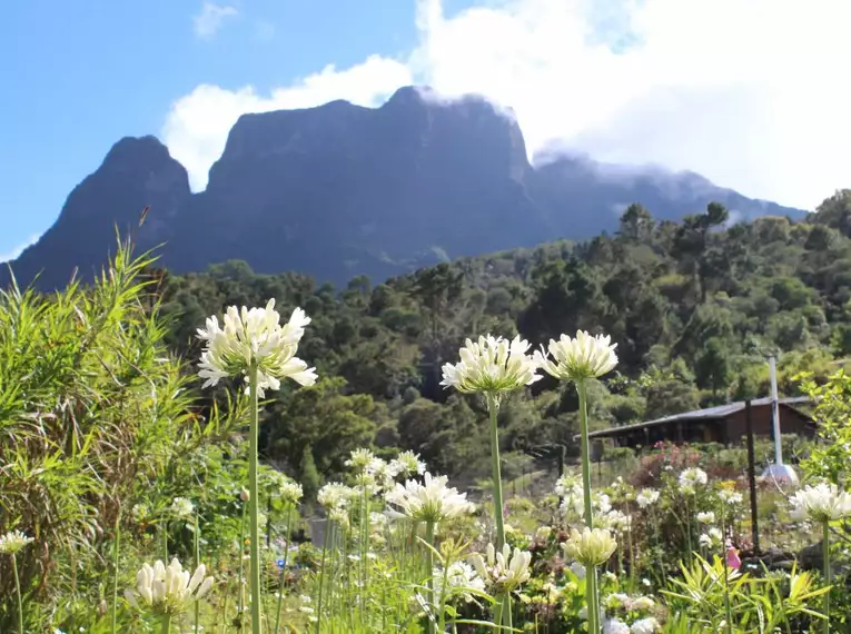 Ein blühender Garten vor einer beeindruckenden Bergkulisse auf La Réunion.