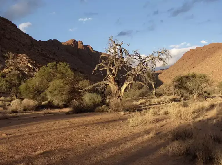 Namibia - die Wunderwelt der Wüsten