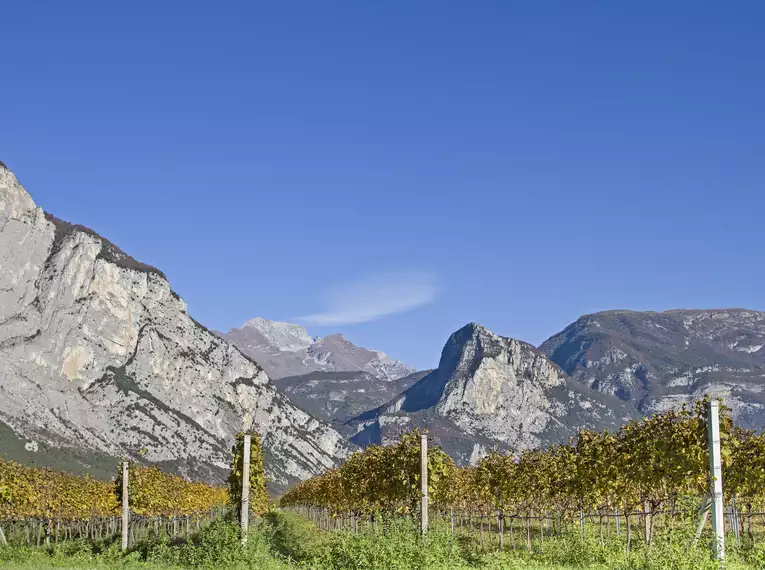 Individual-Trek am Gardasee