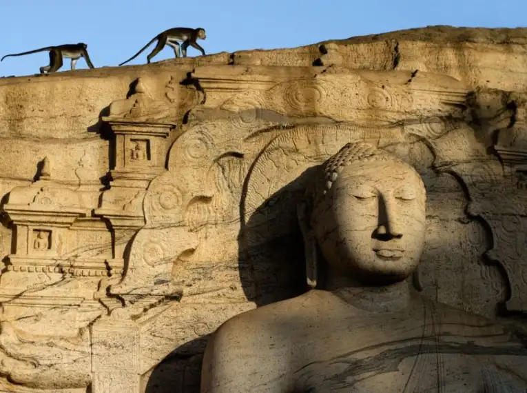 Steinmetzkunst einer Buddha-Statue mit zwei Affen in Sri Lanka.