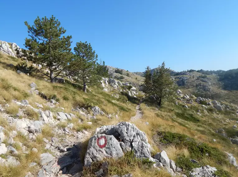 Kroatien - Küste und Gebirge Dalmatiens für Singles und Alleinreisende