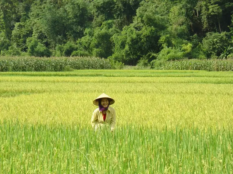 Verborgene Schätze und Kulturen: Entdeckungsreise durch Nordvietnam