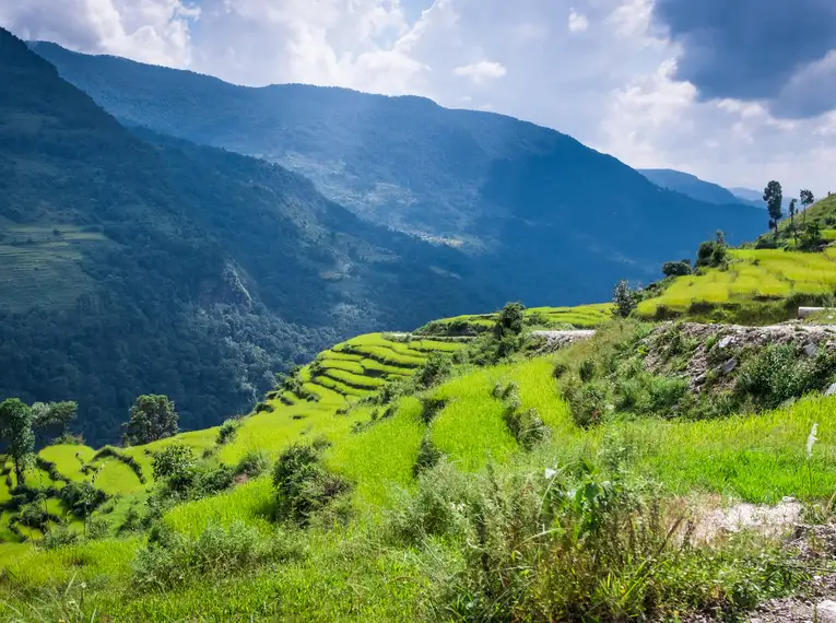 Grüne Terrassenfelder in Nepals bergiger Landschaft mit Fernsicht.